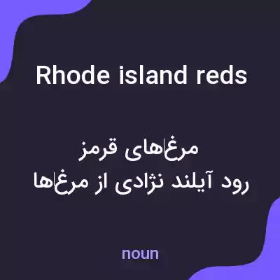 معنی rhode island reds به فارسی