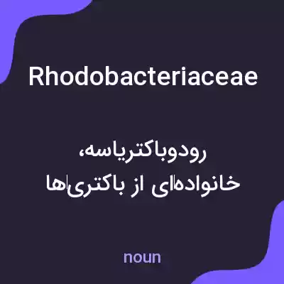 معنی rhodobacteriaceae به فارسی معنی rhodobacteriaceae به فارسی