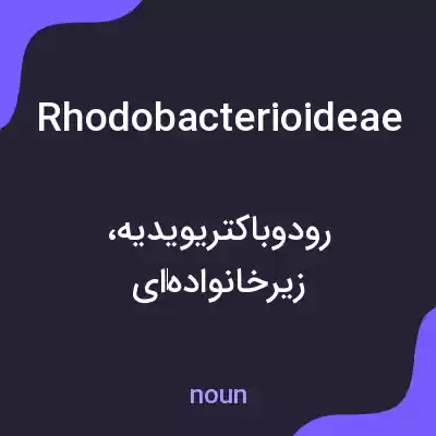 معنی rhodobacterioideae به فارسی معنی rhodobacterioideae به فارسی
