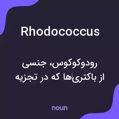 معنی rhodococcus به فارسی معنی rhodococcus به فارسی