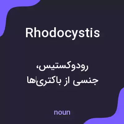 معنی rhodocystis به فارسی معنی rhodocystis به فارسی