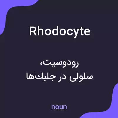 معنی rhodocyte به فارسی معنی rhodocyte به فارسی