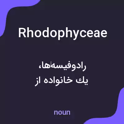 معنی rhodophyceae به فارسی معنی rhodophyceae به فارسی