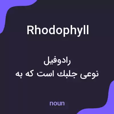معنی rhodophyll به فارسی معنی rhodophyll به فارسی