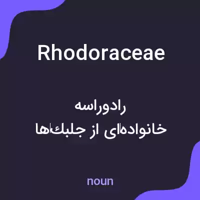 معنی rhodoraceae به فارسی معنی rhodoraceae به فارسی