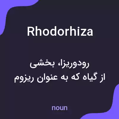 معنی rhodorhiza به فارسی معنی rhodorhiza به فارسی