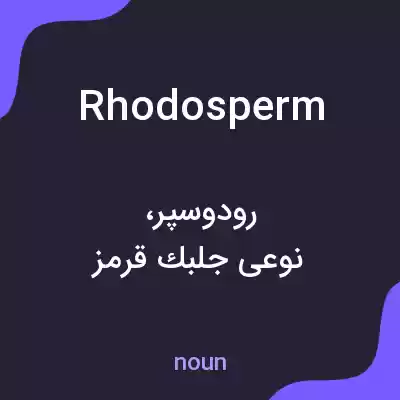 معنی rhodosperm به فارسی