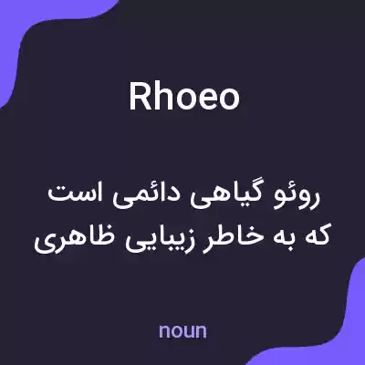 معنی rhoeo به فارسی معنی rhoeo به فارسی