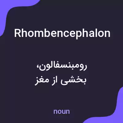 معنی rhombencephalon به فارسی معنی rhombencephalon به فارسی