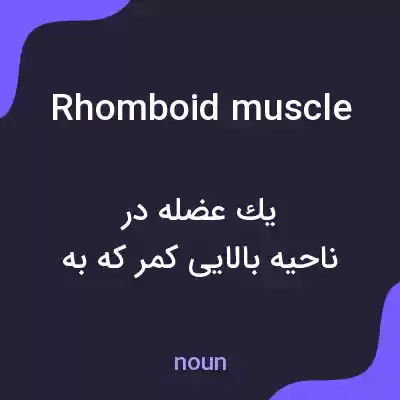 معنی rhomboid muscle به فارسی معنی rhomboid muscle به فارسی