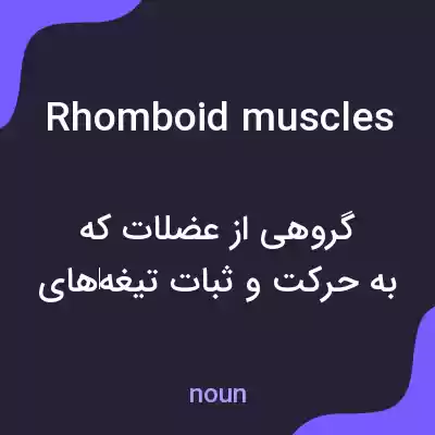 معنی rhomboid muscles به فارسی معنی rhomboid muscles به فارسی