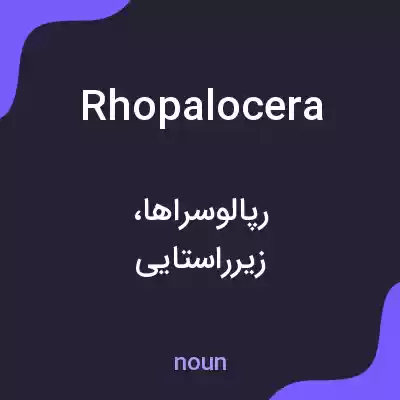 معنی rhopalocera به فارسی معنی rhopalocera به فارسی