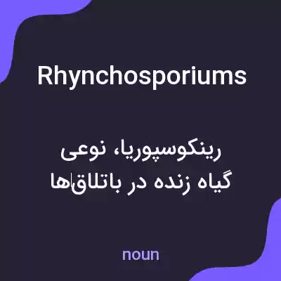 معنی rhynchosporiums به فارسی
