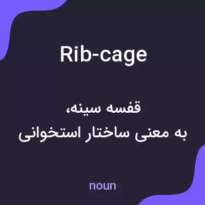 معنی rib-cage به فارسی معنی rib-cage به فارسی