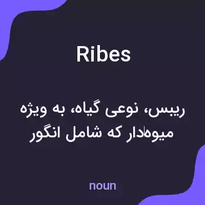 معنی ribes به فارسی معنی ribes به فارسی