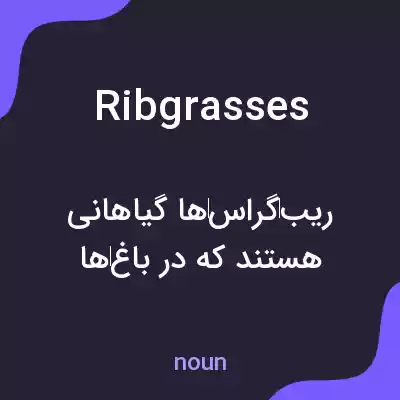 معنی ribgrasses به فارسی معنی ribgrasses به فارسی