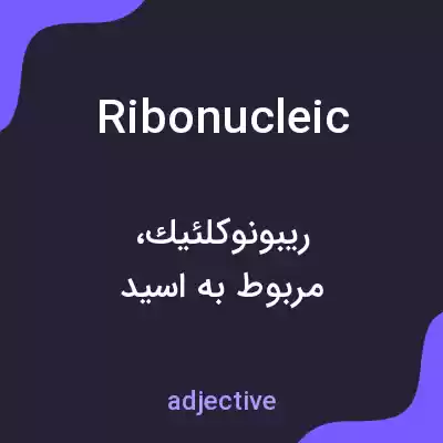 معنی ribonucleic به فارسی معنی ribonucleic به فارسی