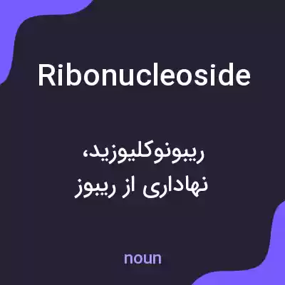 معنی ribonucleoside به فارسی معنی ribonucleoside به فارسی