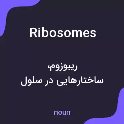 معنی ribosomes به فارسی معنی ribosomes به فارسی