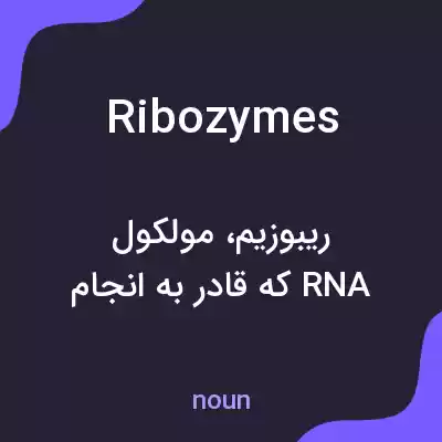 معنی ribozymes به فارسی معنی ribozymes به فارسی