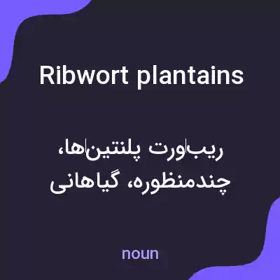معنی ribwort plantains به فارسی معنی ribwort plantains به فارسی