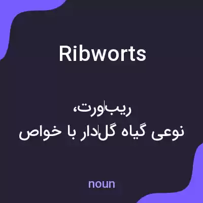 معنی ribworts به فارسی