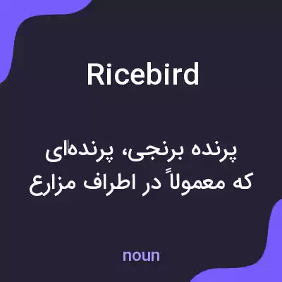 معنی ricebird به فارسی معنی ricebird به فارسی
