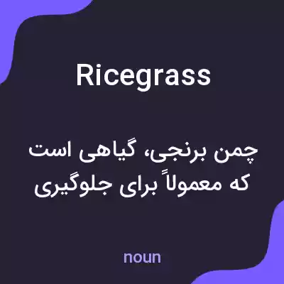 معنی ricegrass به فارسی معنی ricegrass به فارسی