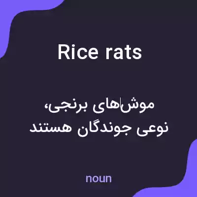 معنی rice rats به فارسی معنی rice rats به فارسی