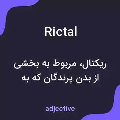 معنی rictal به فارسی معنی rictal به فارسی