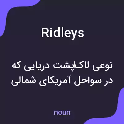 معنی ridleys به فارسی معنی ridleys به فارسی
