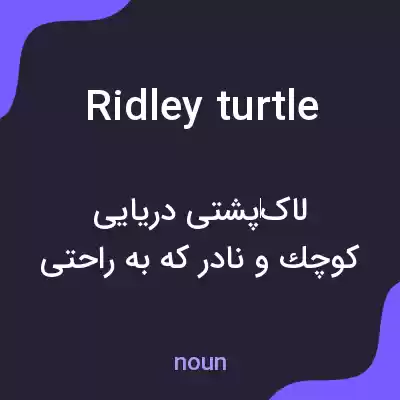 معنی ridley turtle به فارسی معنی ridley turtle به فارسی