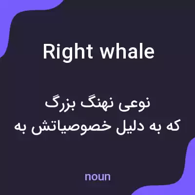 معنی right whale به فارسی