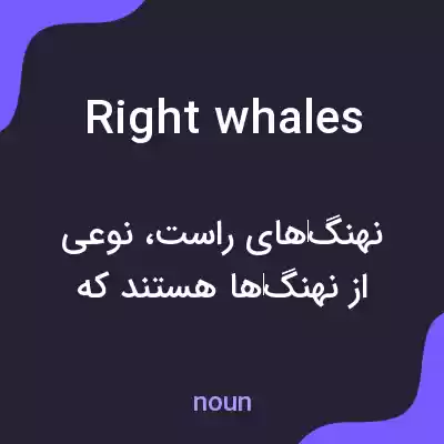 معنی right whales به فارسی معنی right whales به فارسی