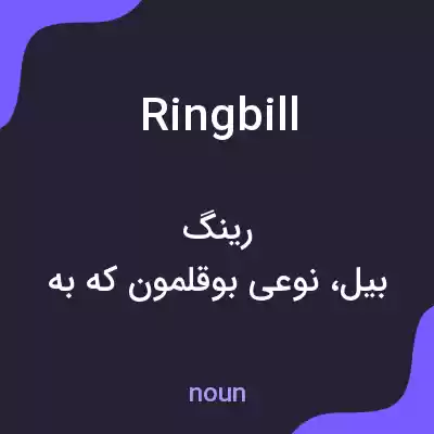 معنی ringbill به فارسی معنی ringbill به فارسی