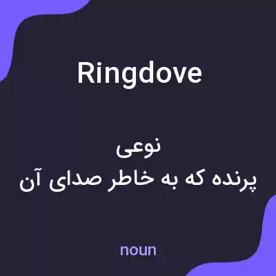 معنی ringdove به فارسی معنی ringdove به فارسی