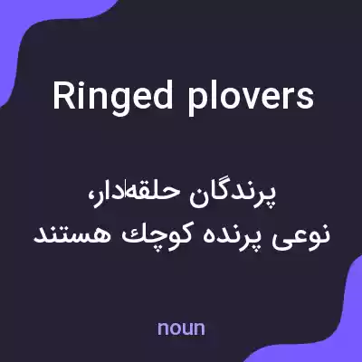 معنی ringed plovers به فارسی معنی ringed plovers به فارسی