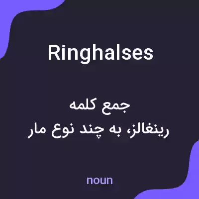 معنی ringhalses به فارسی معنی ringhalses به فارسی