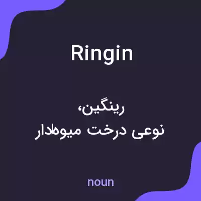 معنی ring in به فارسی