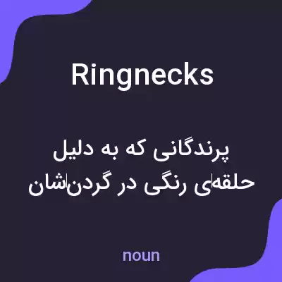 معنی ringnecks به فارسی معنی ringnecks به فارسی