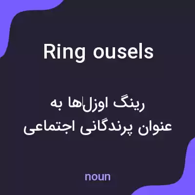 معنی ring ousels به فارسی