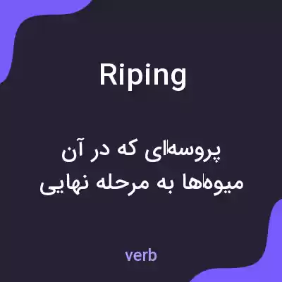 معنی riping به فارسی