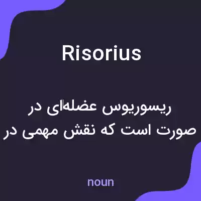 معنی risorius به فارسی معنی risorius به فارسی