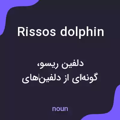 معنی rissos dolphin به فارسی معنی rissos dolphin به فارسی