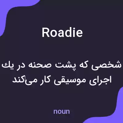 معنی roadie به فارسی معنی roadie به فارسی