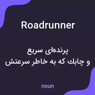 معنی roadrunner به فارسی معنی roadrunner به فارسی