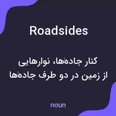 معنی roadsides به فارسی