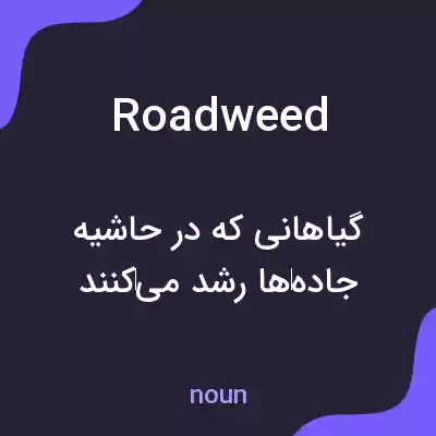 معنی roadweed به فارسی معنی roadweed به فارسی