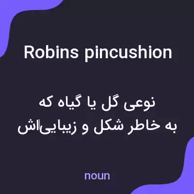 معنی robins pincushion به فارسی معنی robins pincushion به فارسی
