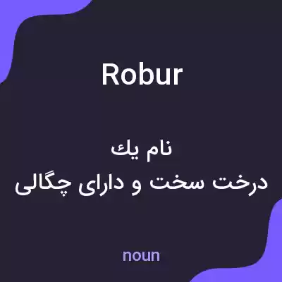 معنی robur به فارسی معنی robur به فارسی